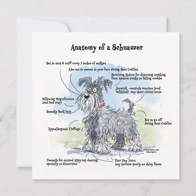 Anatomie eines Schnauzer Funny Notecard Mitteilungskarte (Vorderseite)