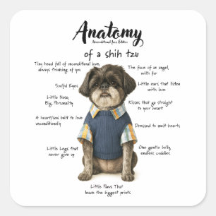 Anatomie eines Shihtzu Unbedingte Liebe Edition Quadratischer Aufkleber