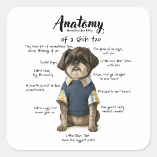 Anatomie eines Shihtzu Unbedingte Liebe Edition Quadratischer Aufkleber