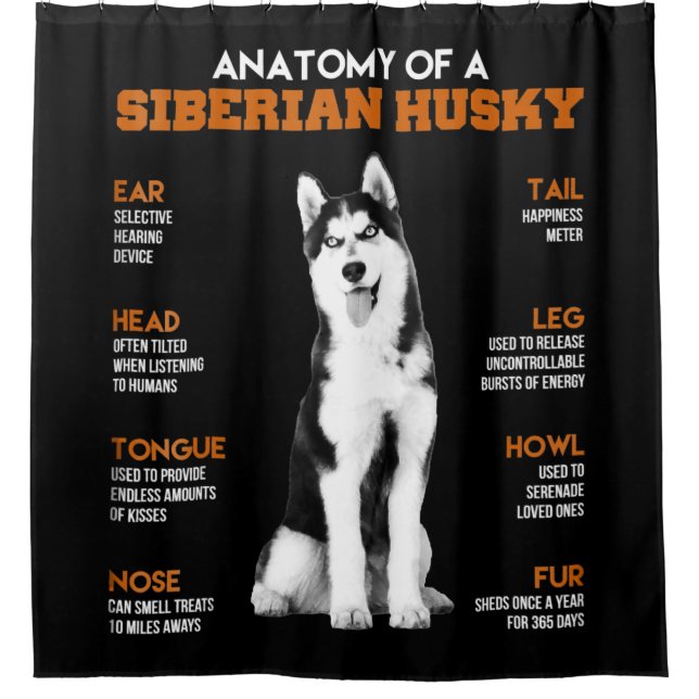 Anatomie eines sibirischen Husky-Hundes witzig Kun Duschvorhang (Vorderseite)