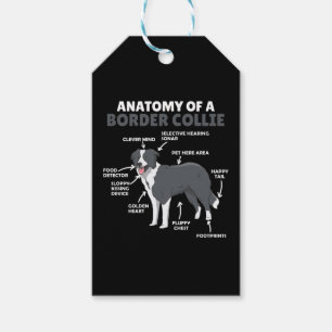 Anatomie eines unbekannten Kleinen Geschenkanhänger