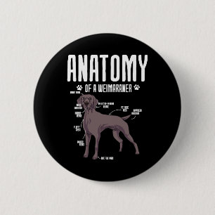 Anatomie eines Weimaraners Button