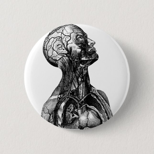 Anatomie-Fehlschlag Button (Vorderseite)