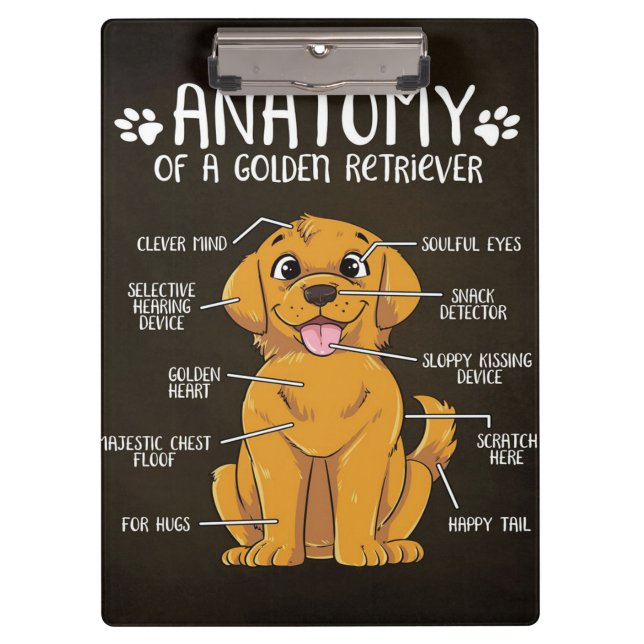 Anatomie Golden Retriever | Golden Retriever Lover Klemmbrett (Vorderseite)