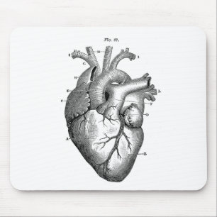 Anatomie-Herz-Bilder-Antik Mousepad