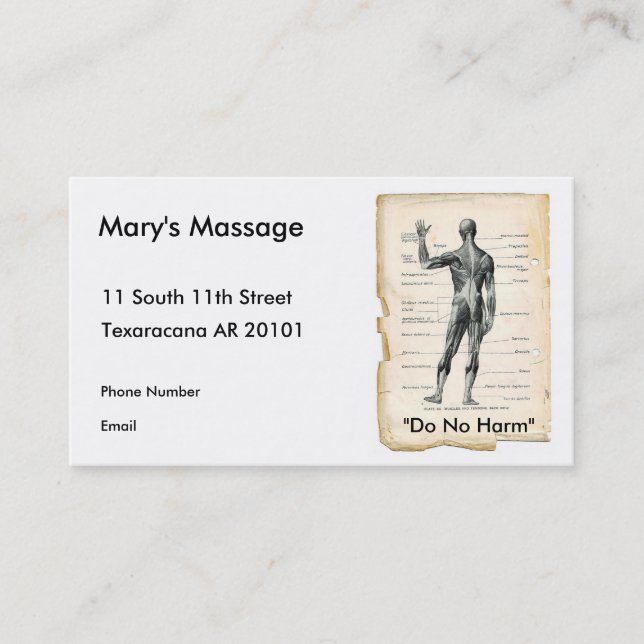 Anatomie-Hinterteil Terminkarte (Vorderseite)