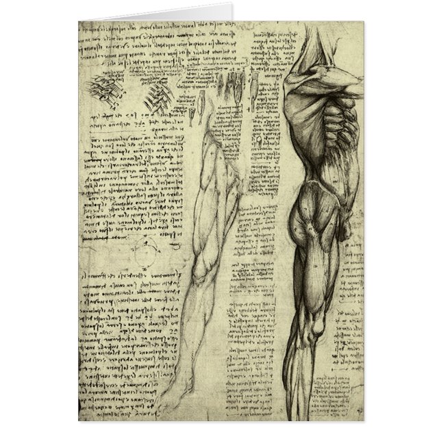 Anatomie humaine Muscles masculins par Leonardo da (Devant)