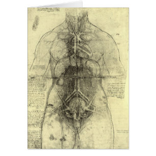 Anatomie humaine, Torse féminin par Léonard de Vin