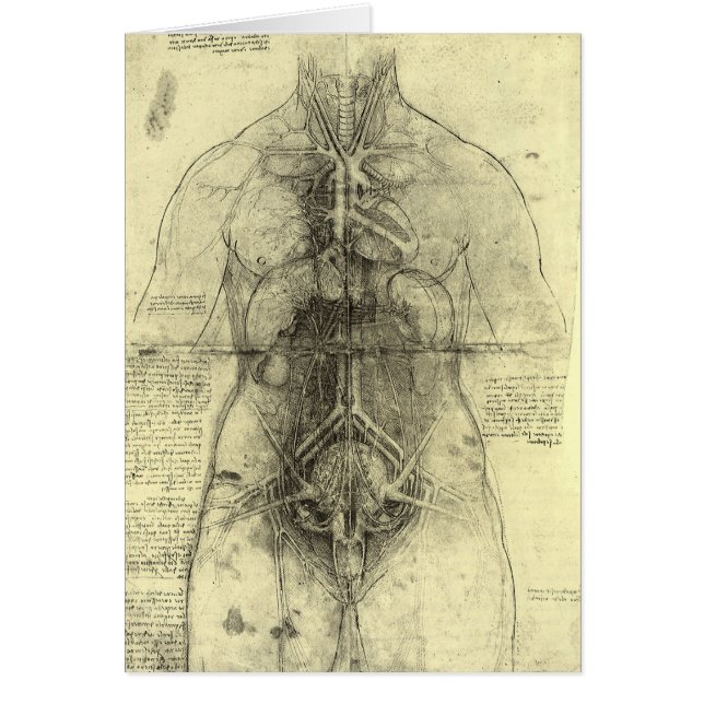Anatomie humaine, Torse féminine par Leonardo da V (Devant)