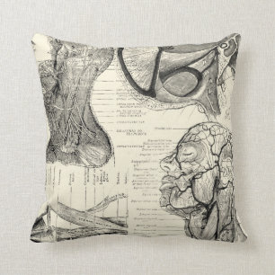 Anatomie-Illustration Kissen
