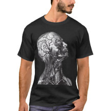 Anatomie Kopf Neck Vintag