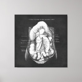 Anatomie Kunst des Verdauungsapparates - Geschenk  Leinwanddruck