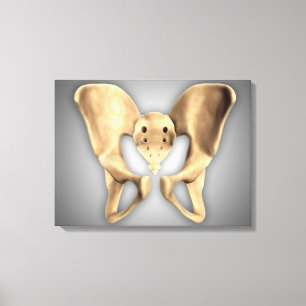 Anatomie menschlichen Becken- Knochens 2 Leinwanddruck