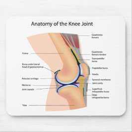 Anatomie menschlichen Kniegelenk mousepad