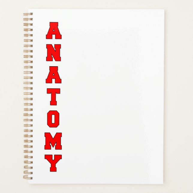 Anatomie Planer (Vorderseite)