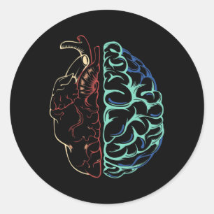 Anatomie Psychische Gesundheit Gehirn Herz Neurovi Runder Aufkleber
