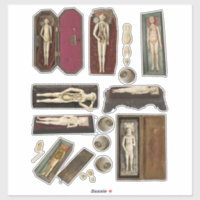 Anatomie-Puppen Körperteile Kollage