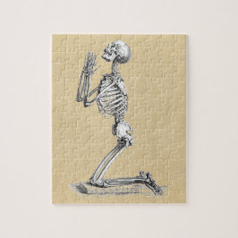 Anatomie Skeleton Illustration
