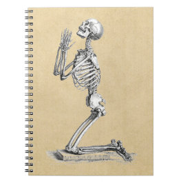Anatomie Skeleton Illustration Notizblock