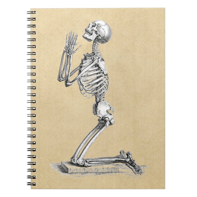 Anatomie Skeleton Illustration Notizblock (Vorderseite)