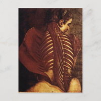 Anatomie/Skelett der Postkarte der weiblichen Rück