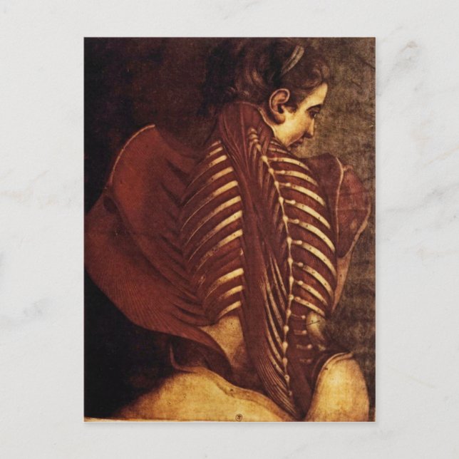 Anatomie/Skelett der Postkarte der weiblichen Rück (Vorderseite)