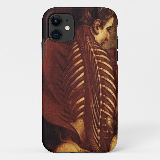 Anatomie/Skelett des Female Back Case Mate (Rückseite)