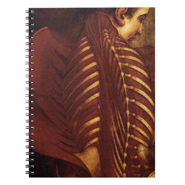 Anatomie/Skelettmuskulatur Notizblock (Vorderseite)