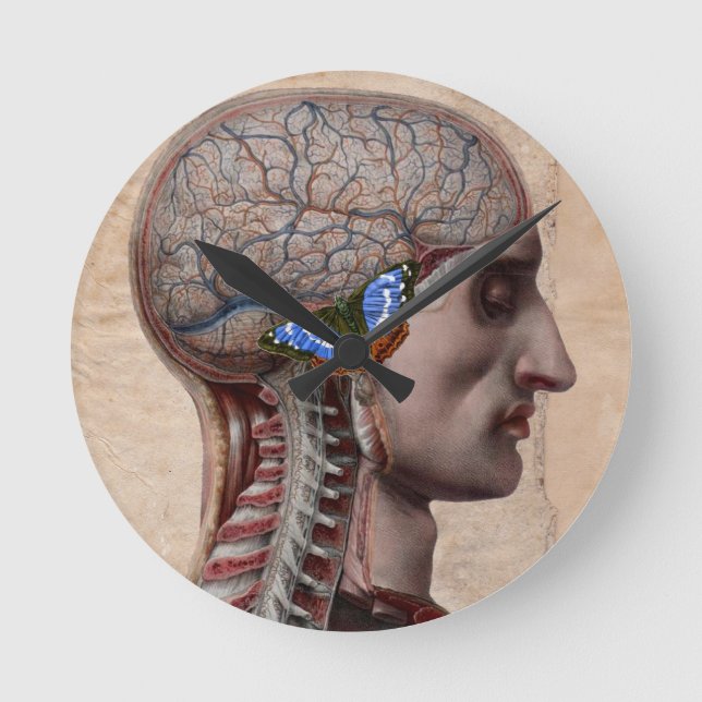 Anatomie Uhr (Vorderseite)