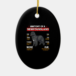 Anatomie von Hunden in Neufundland Keramik Ornament