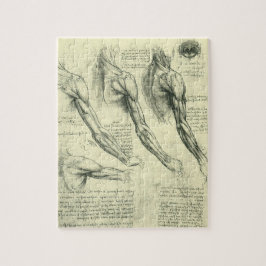 Anatomie von Leonardo da Vinci