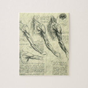 Anatomie von Leonardo da Vinci