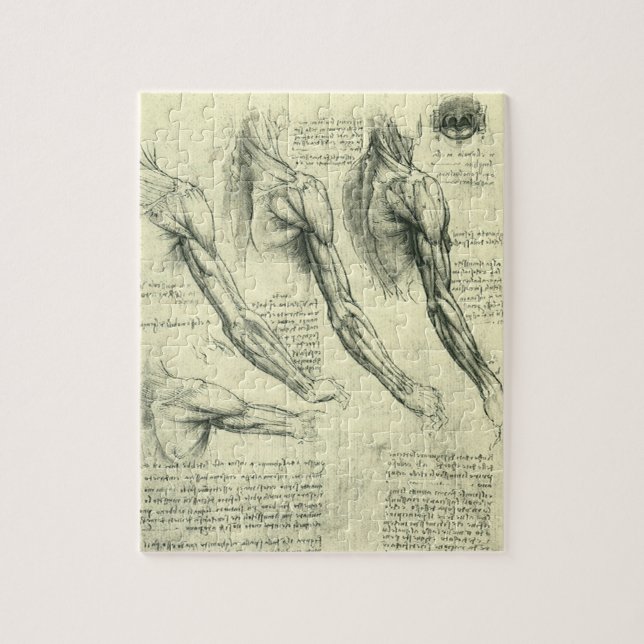 Anatomie von Leonardo da Vinci (Vertikal)