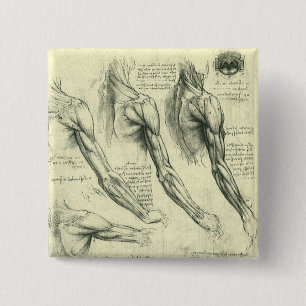Anatomie von Leonardo da Vinci Button