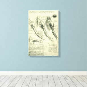 Anatomie von Leonardo da Vinci Leinwanddruck