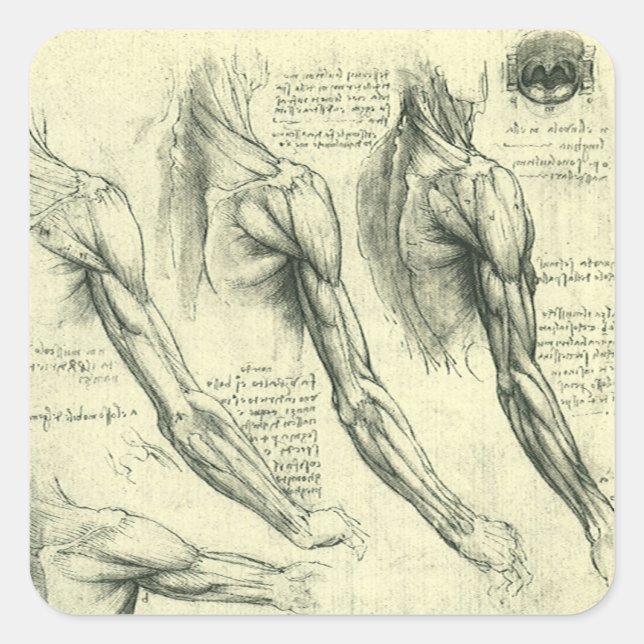 Anatomie von Leonardo da Vinci Quadratischer Aufkleber (Vorderseite)