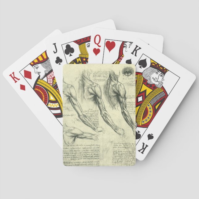 Anatomie von Leonardo da Vinci Spielkarten (Rückseite)