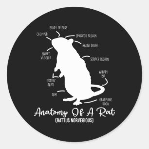 Anatomie von Ratten für Rattenbesitzer und Hausrat Runder Aufkleber