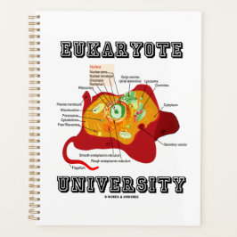 Anatomie von Zellen an der Universität Eukaryote Planer