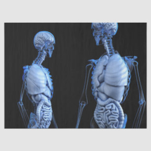 Anatomiepapier Seidenpapier