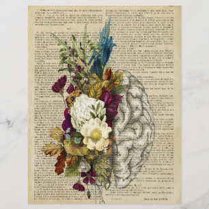 Anatomieplakat für das Blumengehirn Flyer