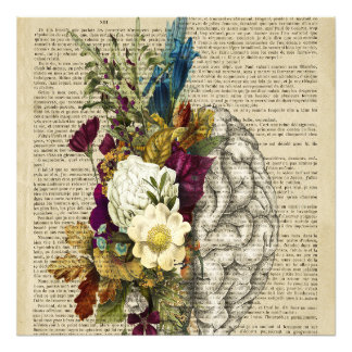 Anatomieplakat für das Blumengehirn Fotodruck