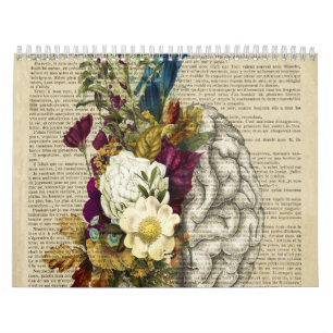 Anatomieplakat für das Blumengehirn Kalender
