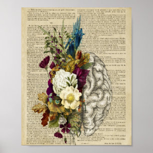 Anatomieplakat für das Blumengehirn Poster
