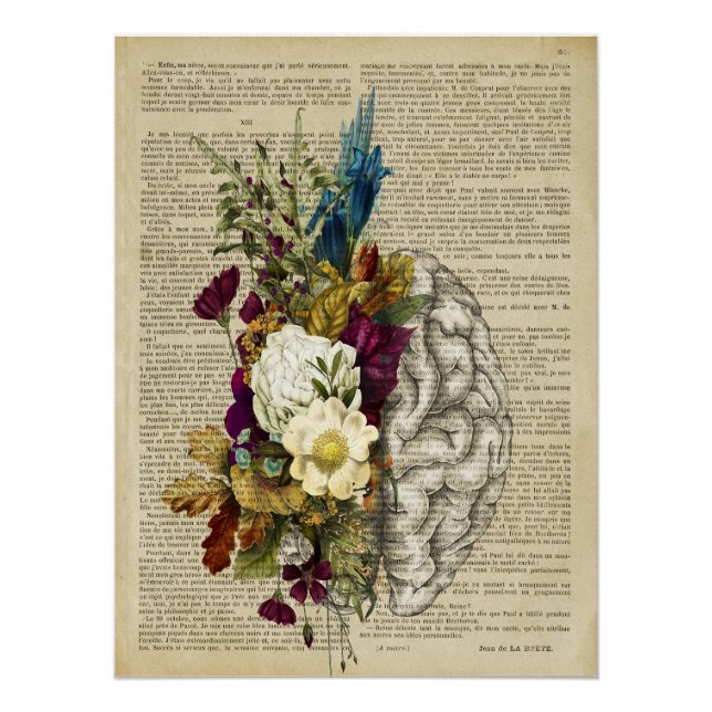 Anatomieplakat für das Blumengehirn Poster (Vorderseite)