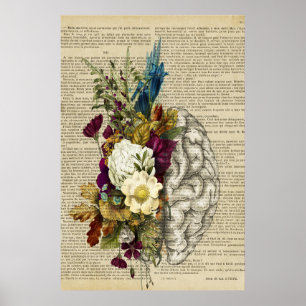 Anatomieplakat für das Blumengehirn Poster