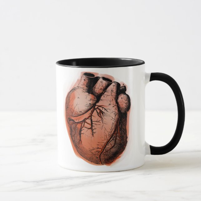 Anatomisch korrektes Herz Tasse (Rechts)