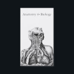 Anatomische Illustration Medical Sciences Visitenkarte<br><div class="desc">Diese Vintage wissenschaftliche Illustration mit Schrift fügt dieser Visitenkarte ein klassisches Aussehen hinzu. Perfekt für einen Universitätsprofessor für Anatomie und Biologie. Andere Anwendungen können eine Visitenkarte für einen Biologen beinhalten.</div>