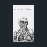 Anatomische Illustration Medical Sciences Visitenkarte<br><div class="desc">Diese Vintage wissenschaftliche Illustration mit Schrift fügt dieser Visitenkarte ein klassisches Aussehen hinzu. Perfekt für einen Universitätsprofessor für Anatomie und Biologie. Andere Anwendungen können eine Visitenkarte für einen Biologen beinhalten.</div>