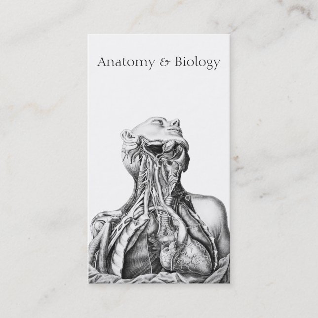 Anatomische Illustration Medical Sciences Visitenkarte (Vorderseite)